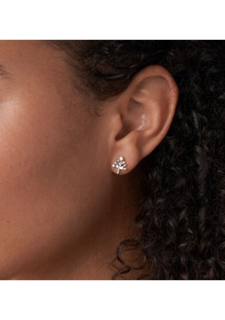 Fossil, JFS00548040 — thumbnail 3